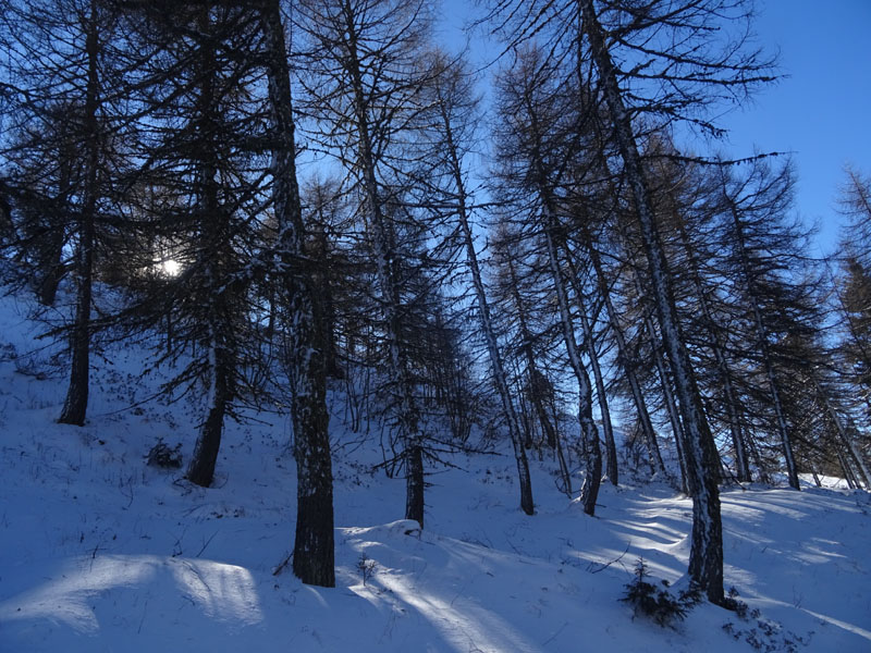 Catena dei Lagorai...da Pergine al Passo del Manghen